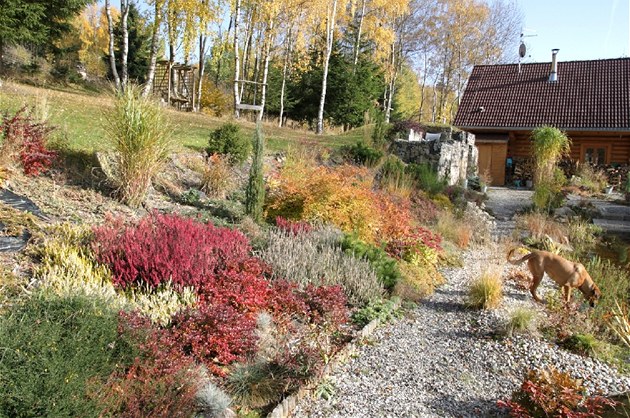 Podzimní balkon nemusí být prázdný. Vřesy a trávy mu dají barvy