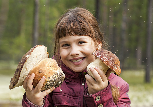 Houbařská je v plném proudu. Tato místa teď hlásí největší úlovky
