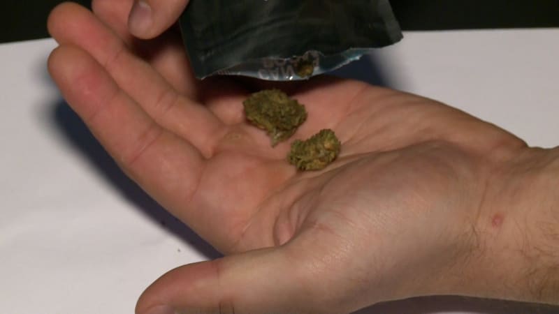 Nebezpečné kanabinoidy jsou až třicetkrát silnější než marihuana. Ministerstvo chystá zákaz