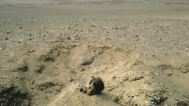 Záhada u Las Vegas: Lidé v poušti objevili stovky mohylek ze zpopelněných lidských ostatků