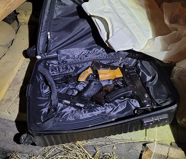 Razie na Plzeňsku. Celníci s policisty našli drogy, samopal i minu, muž je ve vazbě