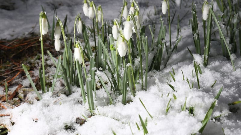 Teploty vystřelí k dvacítce, pak přijde zvrat a vrátí se i sníh. MAPA odhaluje, jak bude u vás