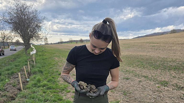 Konec masakru migrujících žab. Přes silnici je u Šternberka přenášejí dobrovolníci