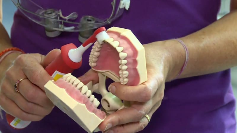 Kdy začít s dentální hygienou u dětí? Experti radí ideální věk. Rodiče mohou žádat o příspěvek