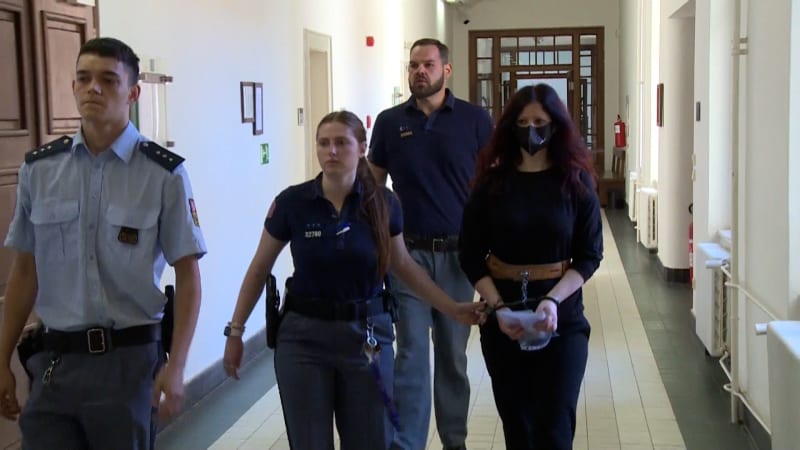 Matka téměř sto ranami ubodala postiženou dceru. Odsedí si 18 let, potvrdil vrchní soud
