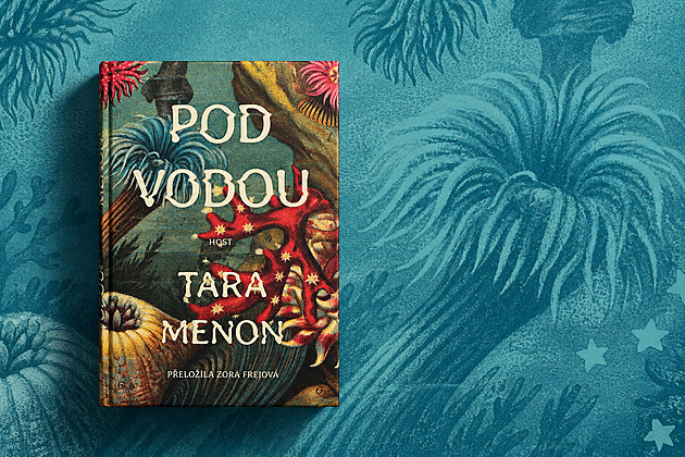 RECENZE: Silná témata zůstala na hladině. Román Pod vodou se do hloubky neponoří