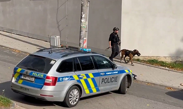 Muž na Hodonínsku se zabarikádoval a střílel z luku, policisté k němu násilím vnikli